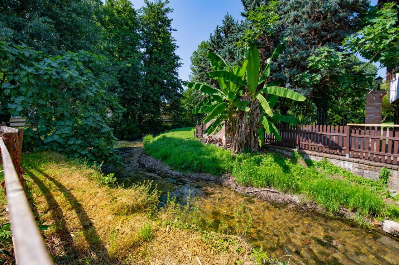 Villa Vitti'S - Verona Est San Martino Buon Albergo Esterno foto